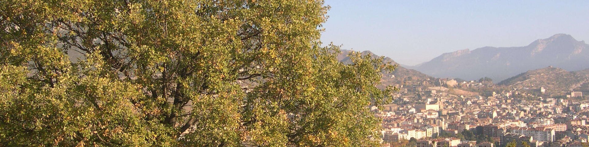 A tree-lined hill overlooking a city with mountains in the background.