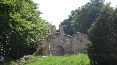 Santa Magdalena de Cambrils (juny 2012)