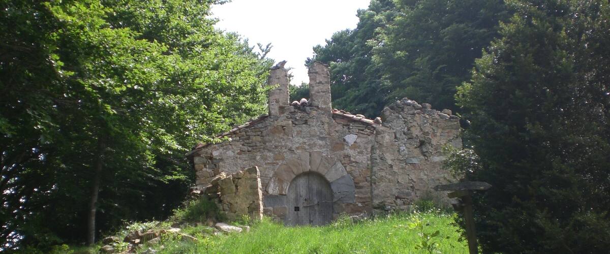 A stone building with a wooden door, surrounded by lush green trees and grass.