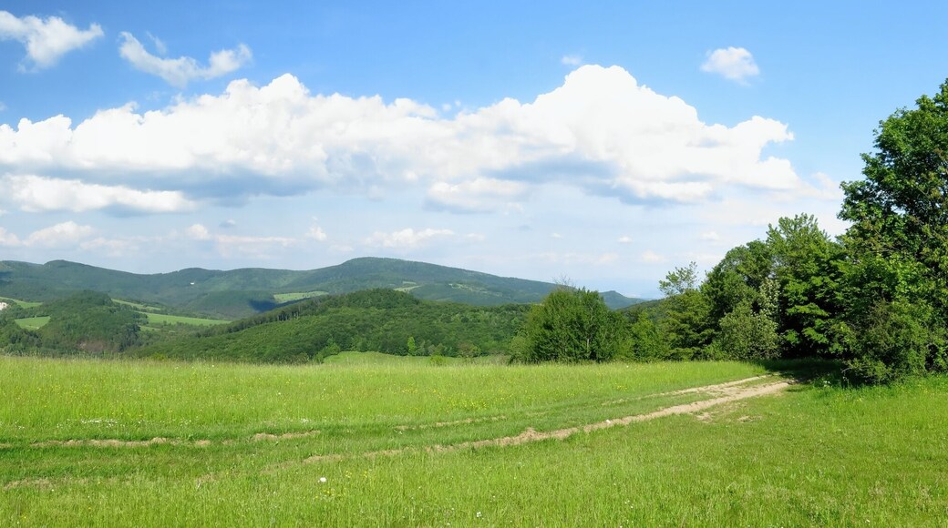 Panorama view from Povazsky inovec mountains near Nov√° Lehota in Slovakia