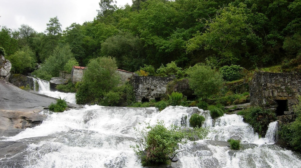 El Parque Natural del Río Barosa está situado en la provincia de Pontevedra. Se caracteriza por la presencia del río Barosa, cuyas aguas movían antiguamente una serie de molinos situados en su curso. En gallego se denomina muiñada a este conjunto de molinos. Actualmente pueden verse sus restos a lo largo de esta fervenza da Maquieira, en el Concello de Barro.
