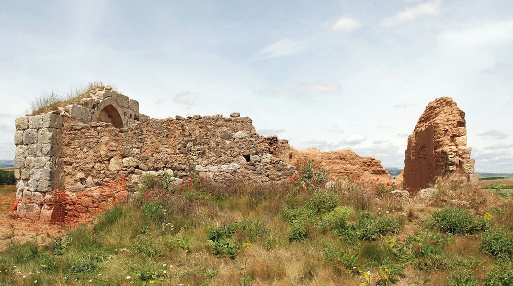 Hermitage of Castarruyo or Castrorubio in Sandoval de la Reina (province of Burgos, Castile and León). This picture was taken in the very begining of the archaeological excavations before rebuilding of the hermitage in 2012.