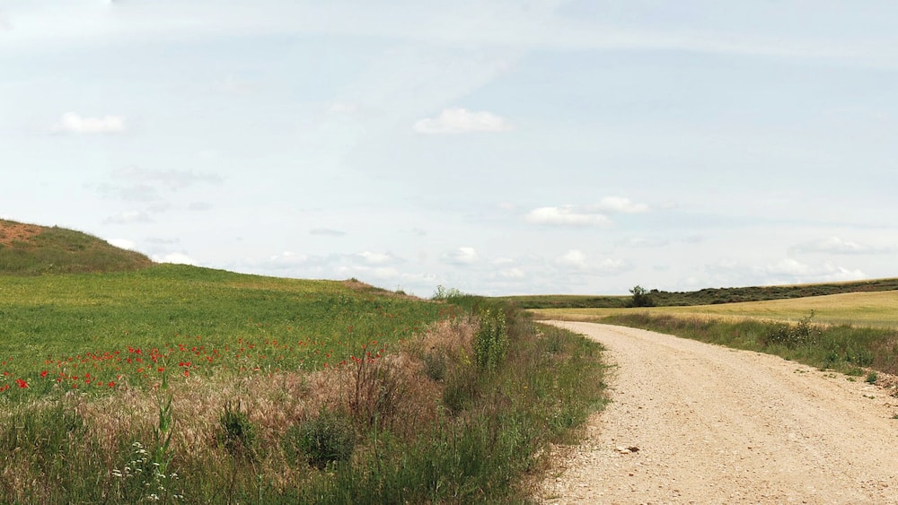 A dirt path leading through a grassy field with red flowers and hills in the distance.