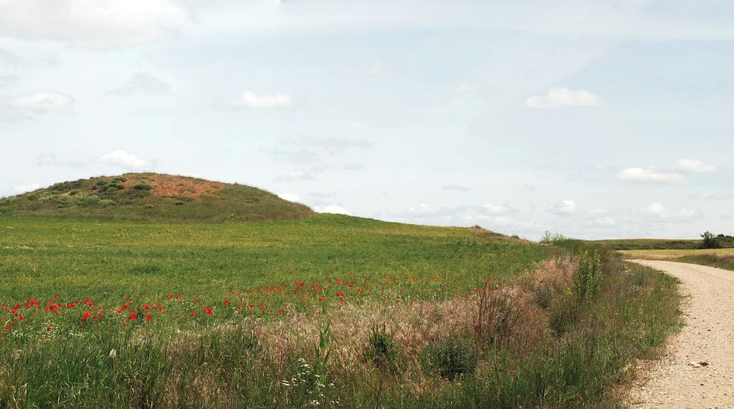 Hermitage of Castarruyo or Castrorubio in Sandoval de la Reina (province of Burgos, Castile and León). This picture was taken in the very begining of the archaeological excavations before rebuilding of the hermitage in 2012.