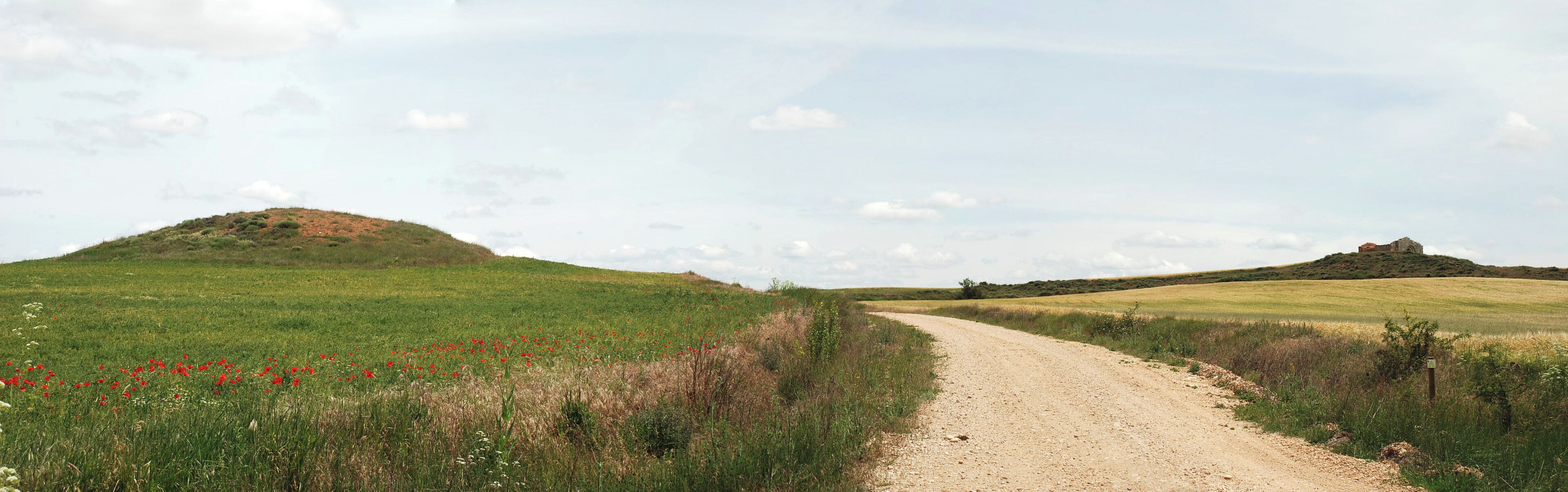 A dirt path leading through a grassy field with red flowers and hills in the distance.