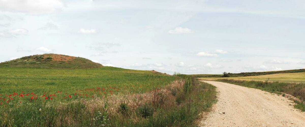A dirt path leading through a grassy field with red flowers and hills in the distance.
