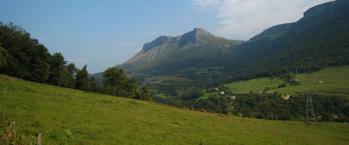 A mountainous landscape with a prominent peak, green fields, scattered trees, and a few buildings.