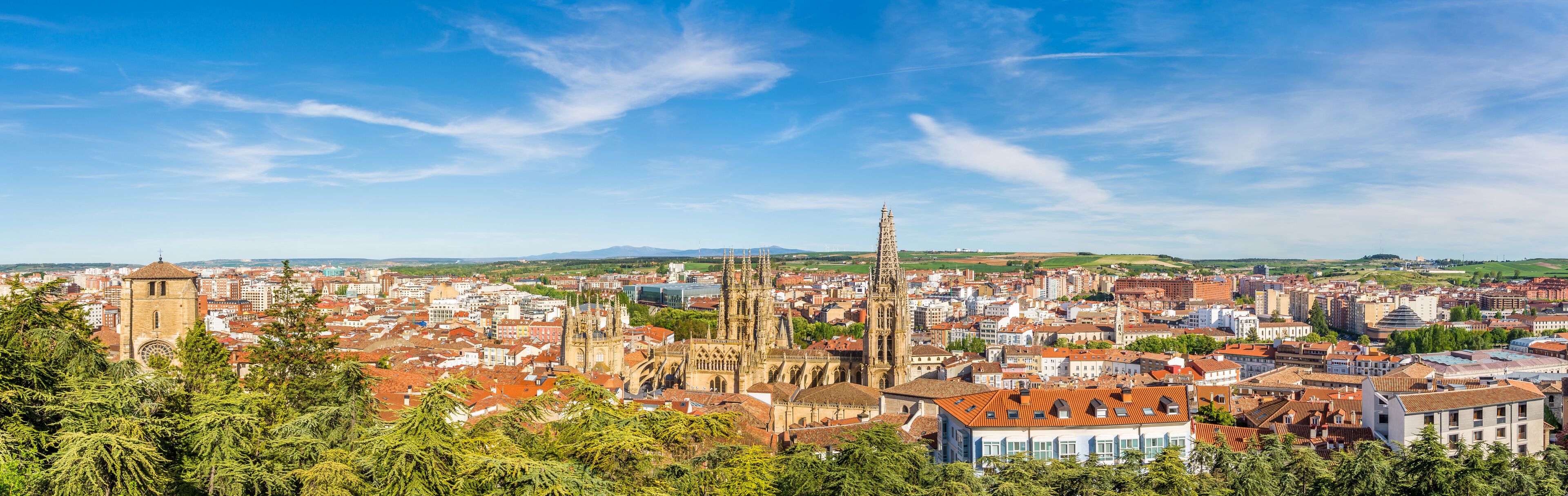 A cityscape with prominent Gothic architecture, including a tall church tower and a cathedral with intricate spires.