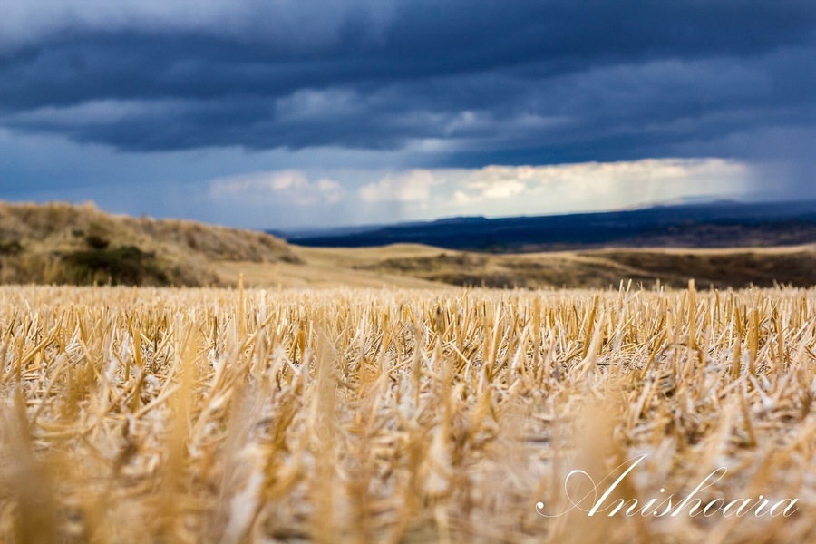 before rain in the field of burgos