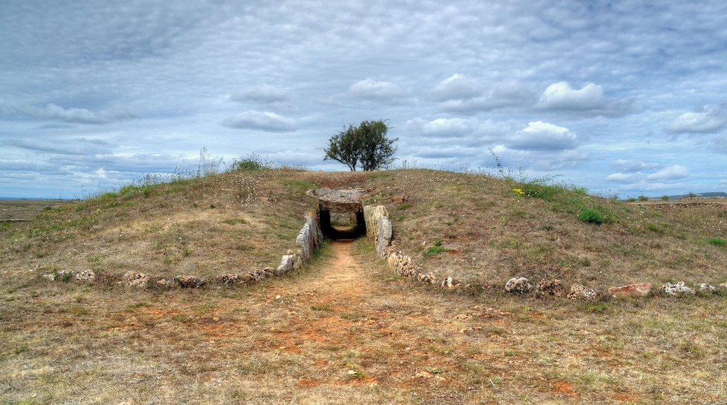 Aislado en el páramo de Sedano y Masa, en el norte de Burgos, el dolmen conserva buena parte del túmulo, el corredor cubierto y los ortostatos de la cámara.