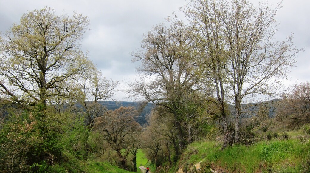 Climbing the hill to Iglesia de San Pedro de la Tejada