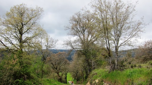 Climbing the hill to Iglesia de San Pedro de la Tejada