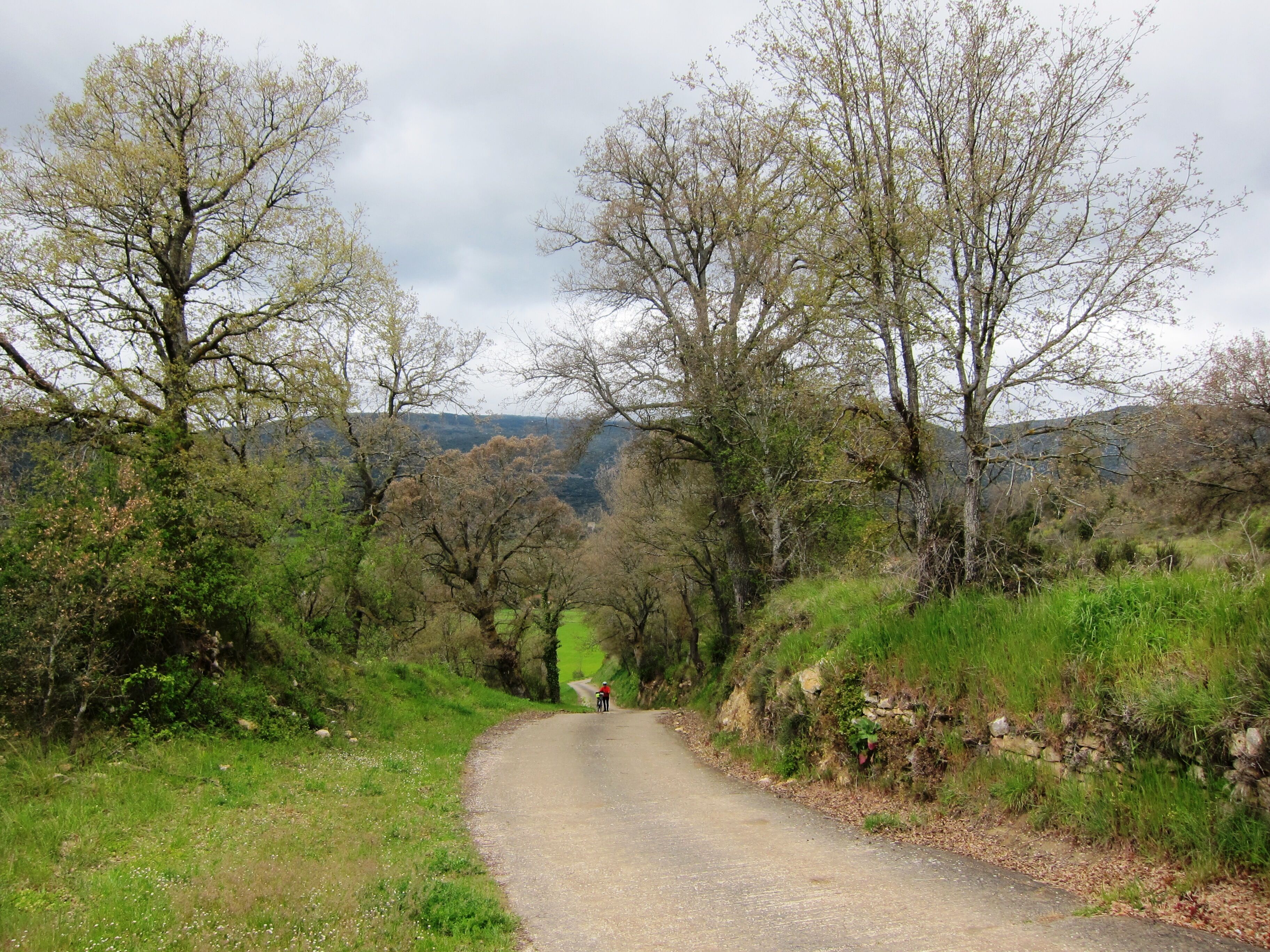 A narrow rural road flanked by trees and greenery, leading towards a cyclist in the distance.