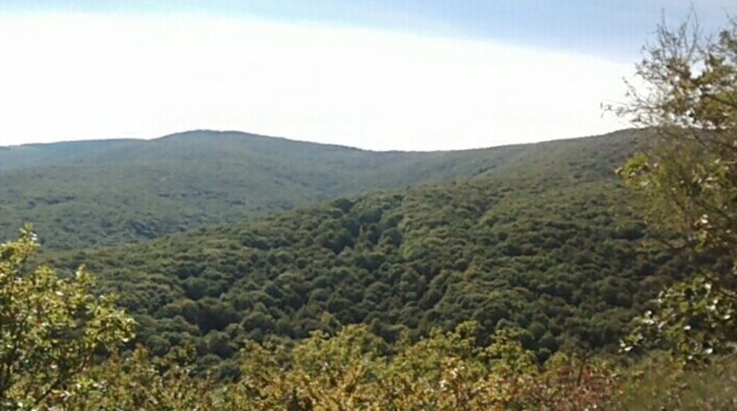 Panoråmica del monte Hijedo, un gran bosque mixto entre las provincias de Cantabria y Burgos, en España.