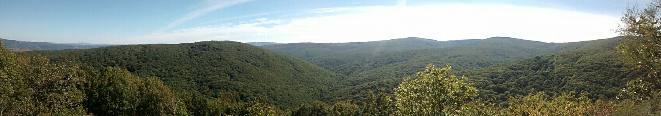 A mountainous landscape with dense forests and rolling hills.