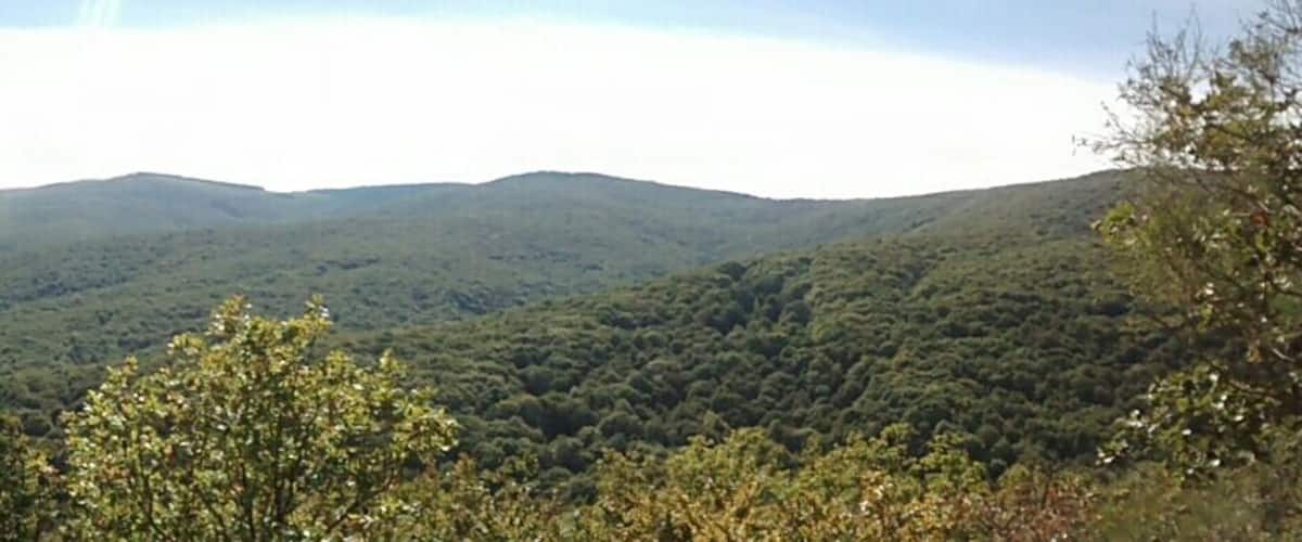 A mountainous landscape with dense forests and rolling hills.