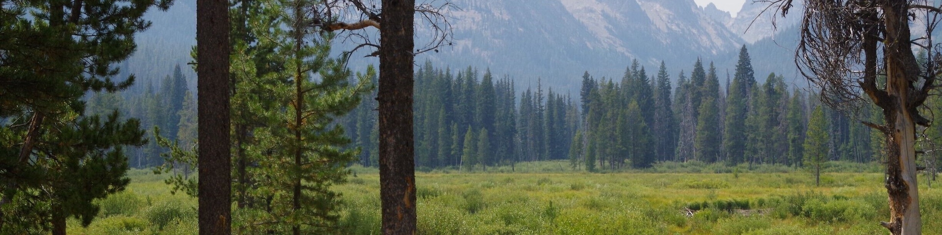 This is my most favorite place in Idaho (I almost don't want to share it, but please leave no trace and take care of our forest.) A 2 mile mostly flat trail takes you to the edge of the Sawtooth Wilderness area. You can hike or bike in (no bikes into the wilderness area.) A few downed trees may be on trail so beaware when riding bike. Directions- just before Redfish lake lodge, parking on left, trail on right.