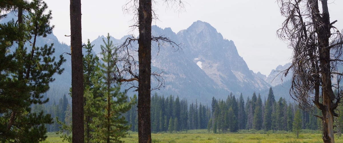 This is my most favorite place in Idaho (I almost don't want to share it, but please leave no trace and take care of our forest.) A 2 mile mostly flat trail takes you to the edge of the Sawtooth Wilderness area. You can hike or bike in (no bikes into the wilderness area.) A few downed trees may be on trail so beaware when riding bike. Directions- just before Redfish lake lodge, parking on left, trail on right.