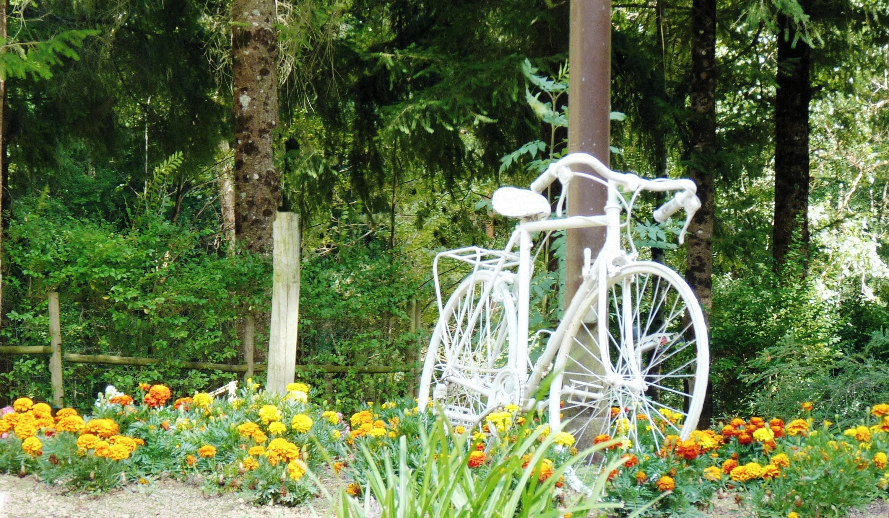 Camping de Malafogassa