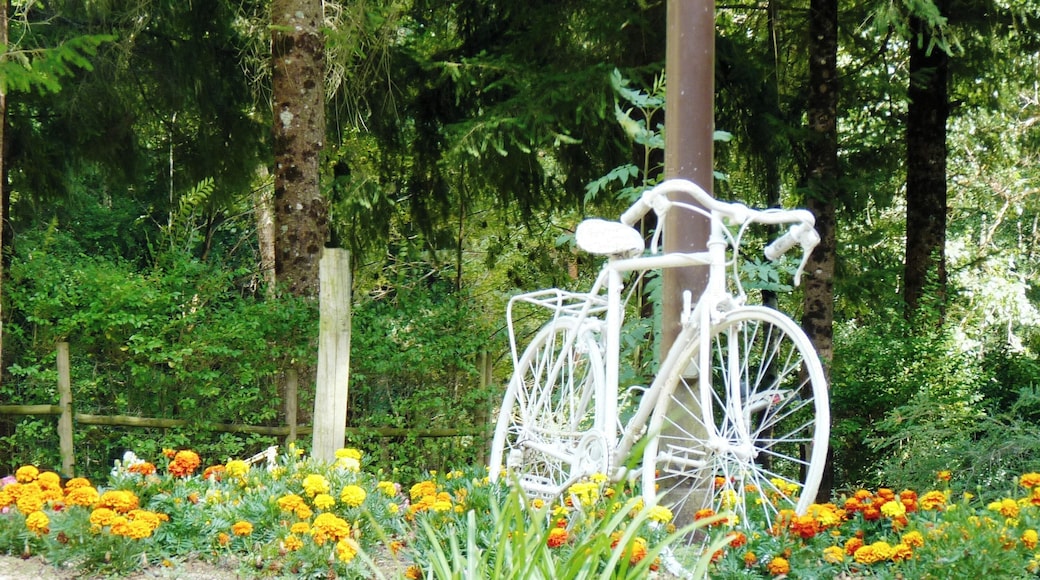 Camping de Malafogassa