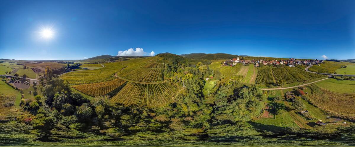 A panoramic view of a vineyard with rows of grapevines, a small village, and rolling hills under a clear blue sky.