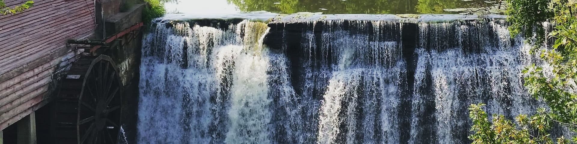 Very unique place, and a few out buildings with antiques.