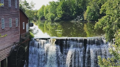 Very unique place, and a few out buildings with antiques.