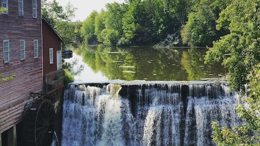 Very unique place, and a few out buildings with antiques.