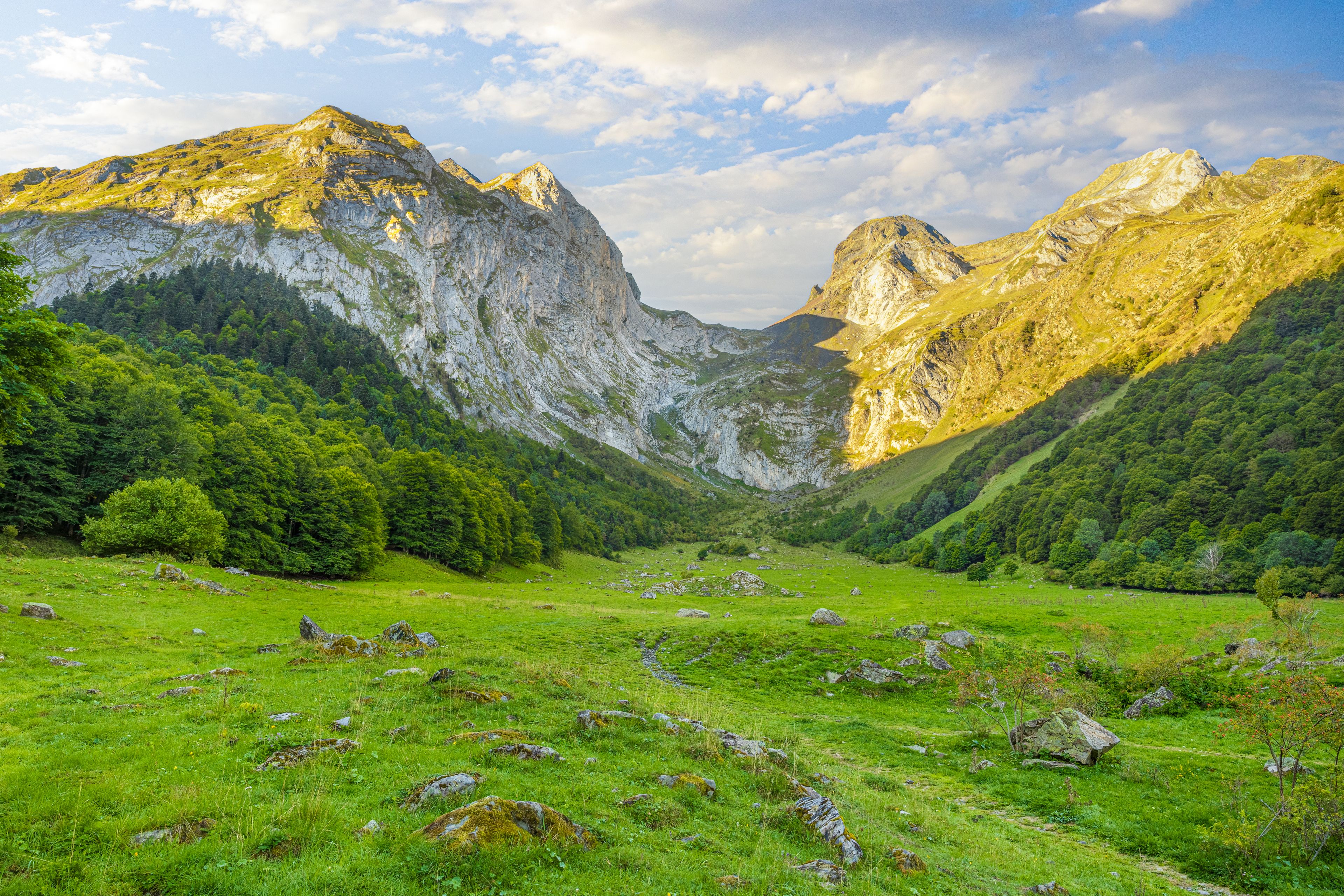 A mountainous landscape with a valley, rocky outcrops, and dense forest.