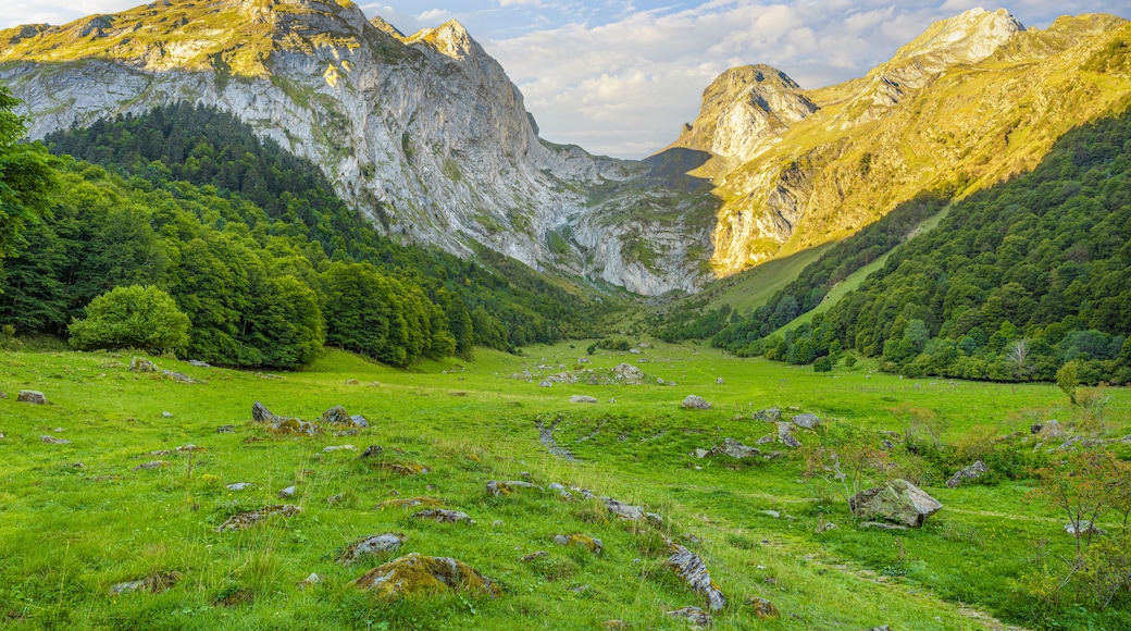 A mountainous landscape with a valley, rocky outcrops, and dense forest.
