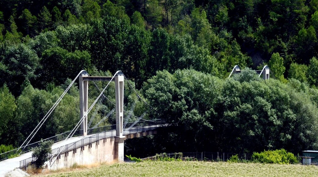 Pont penjant (Fígols i Alinyà)