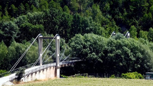 Pont penjant (Fígols i Alinyà)