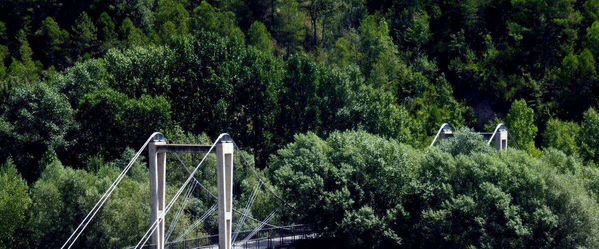A suspension bridge over a field with a forested hillside in the background.