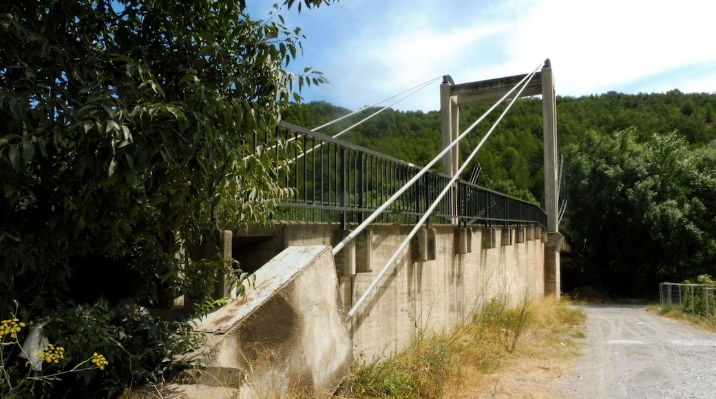 Pont penjant (Fígols i Alinyà)