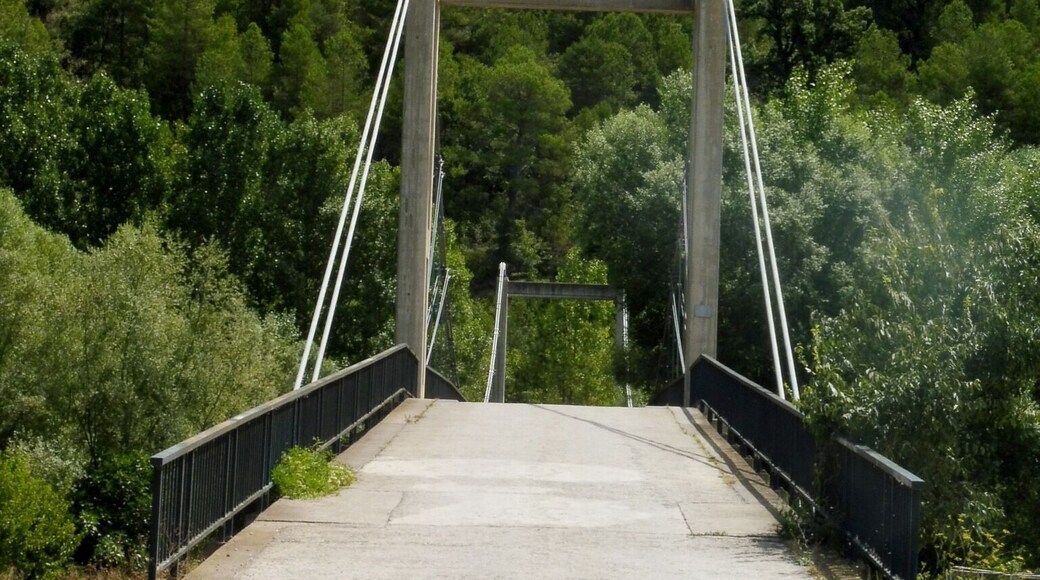 Pont penjant (Fígols i Alinyà)