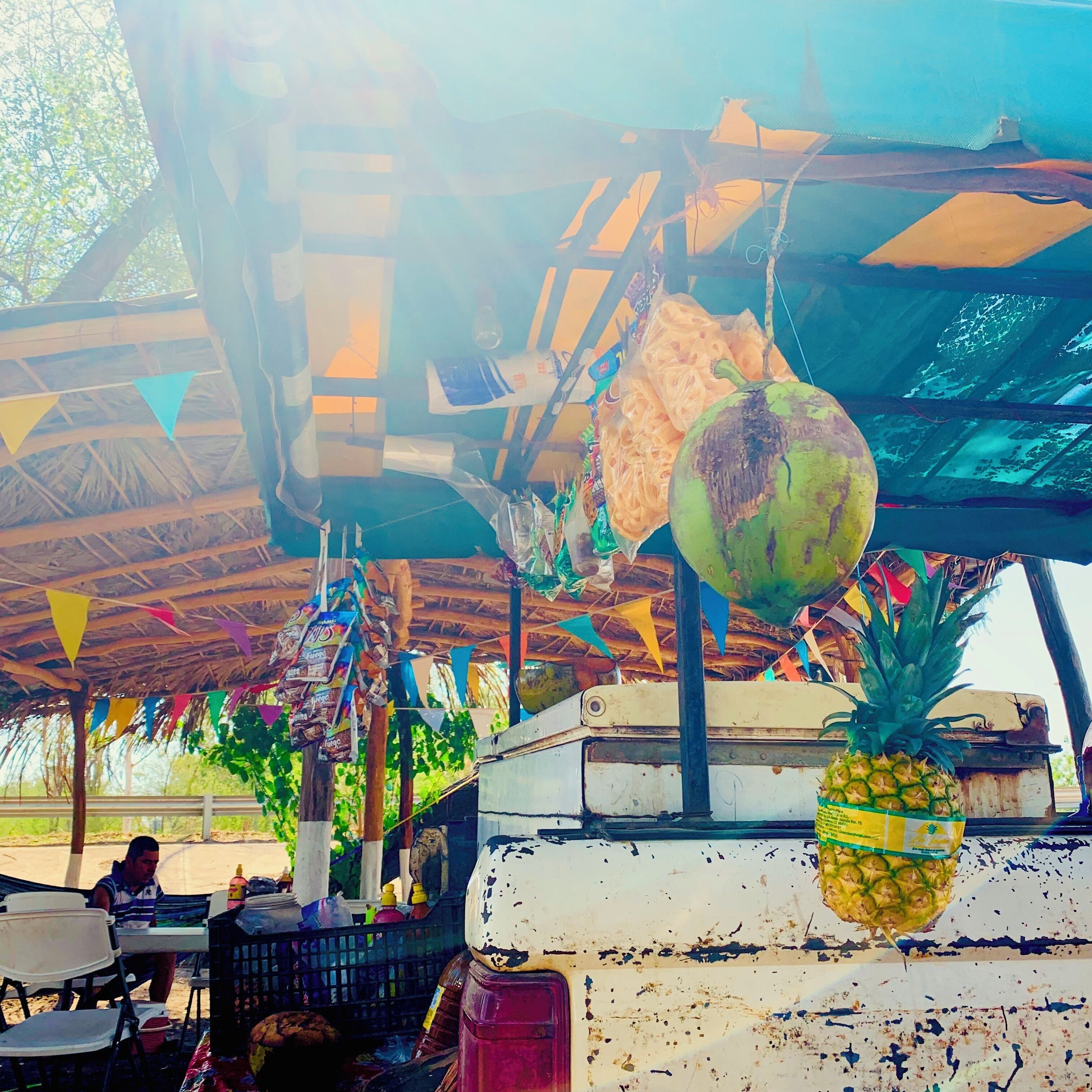 Agüita de coco, please. Delicious fruit you can find near the old bridge at Mocorito, a cute little town in Sinaloa. #culture #streetvendor #mexico #fruits
