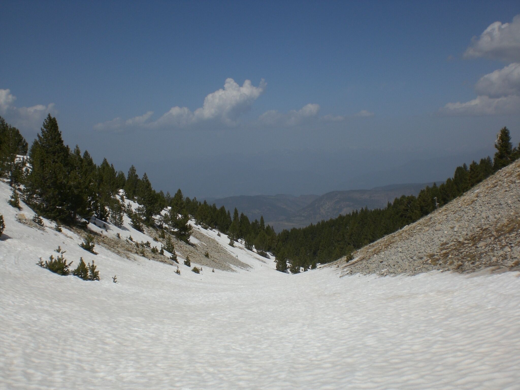 Sota la Tossa Pelada (abril 2011)