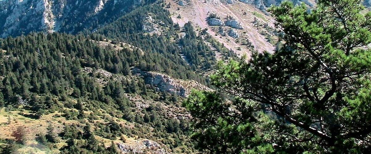 El Cap del Verd des dels Ordiars, camí del coll Virolet. La Coma i la Pedra (Solsonès - Catalunya)