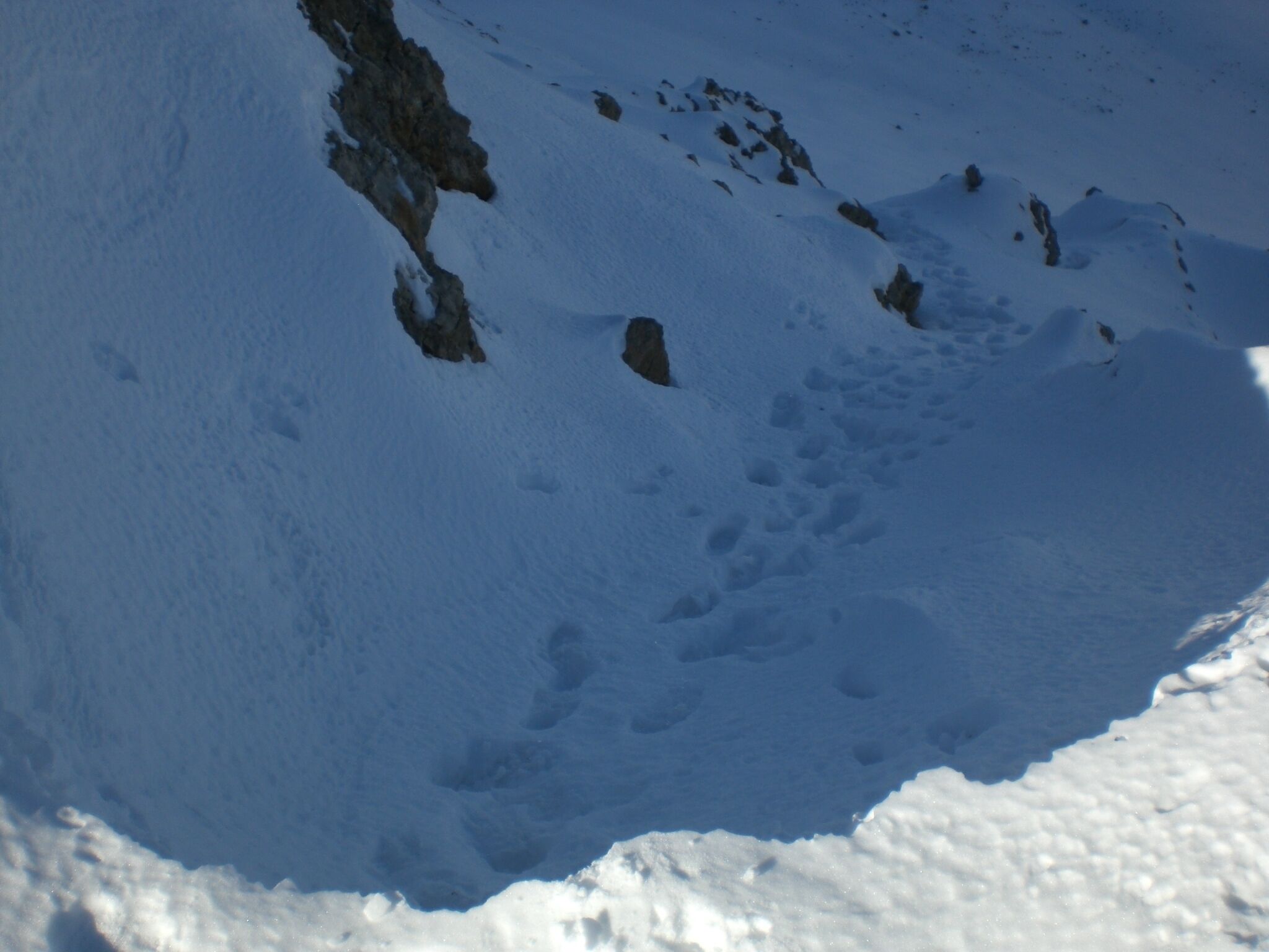 Pas del Cabriol, Parc Natural del Cadí-Moixeró (novembre 2011)