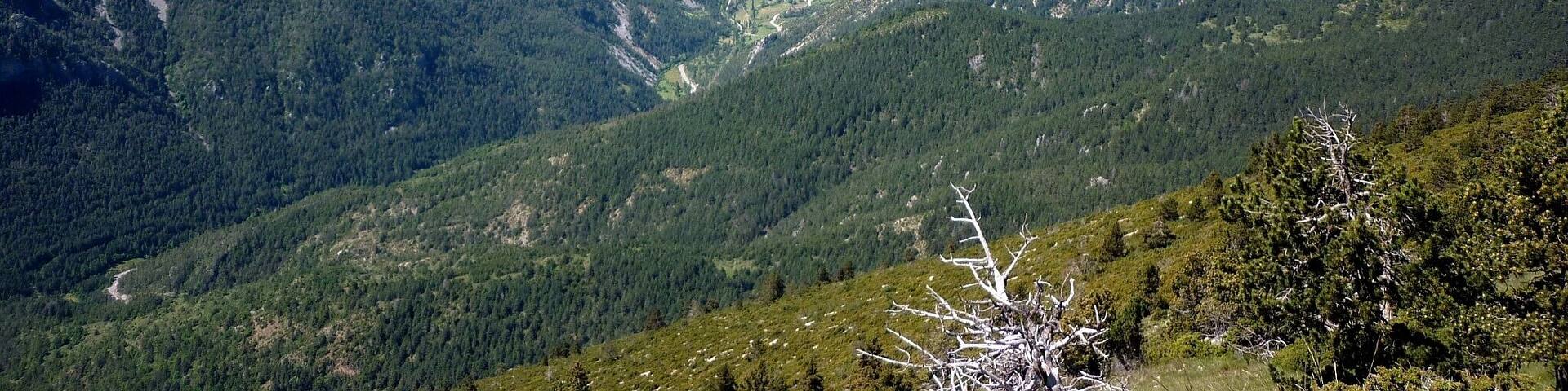 Tuixén i la Bòfia des del cim del Cadinell