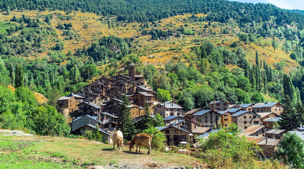 Os de Civís, Catalonia / Spain: Two cows grazing with the village in the background