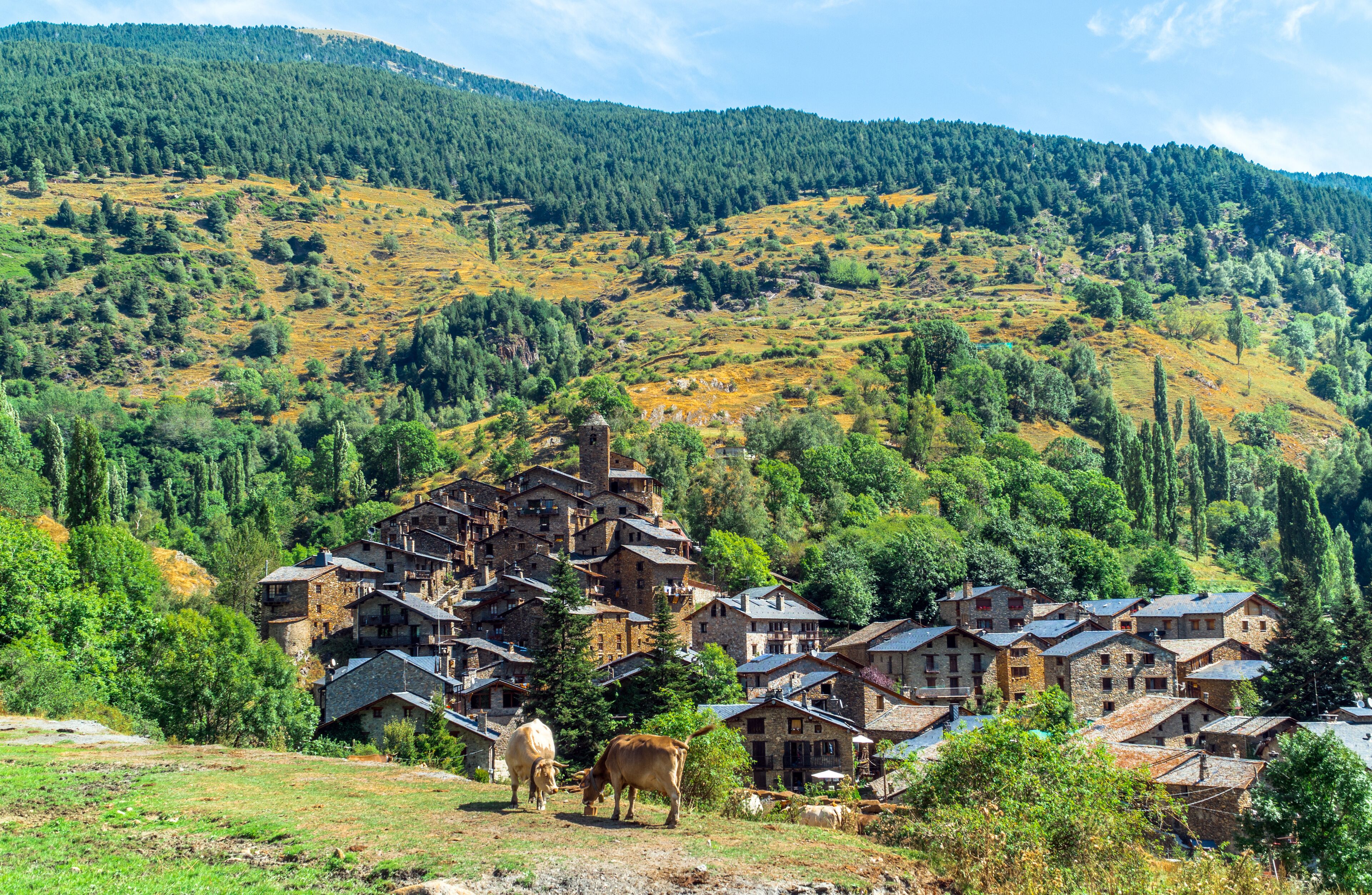 A village with stone buildings nestled in a hilly, forested landscape.