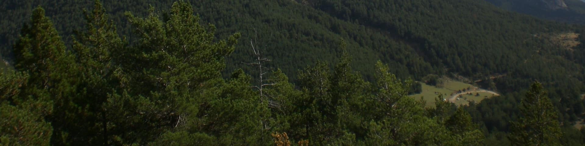 A mountainous landscape with dense forests and a prominent peak in the distance.