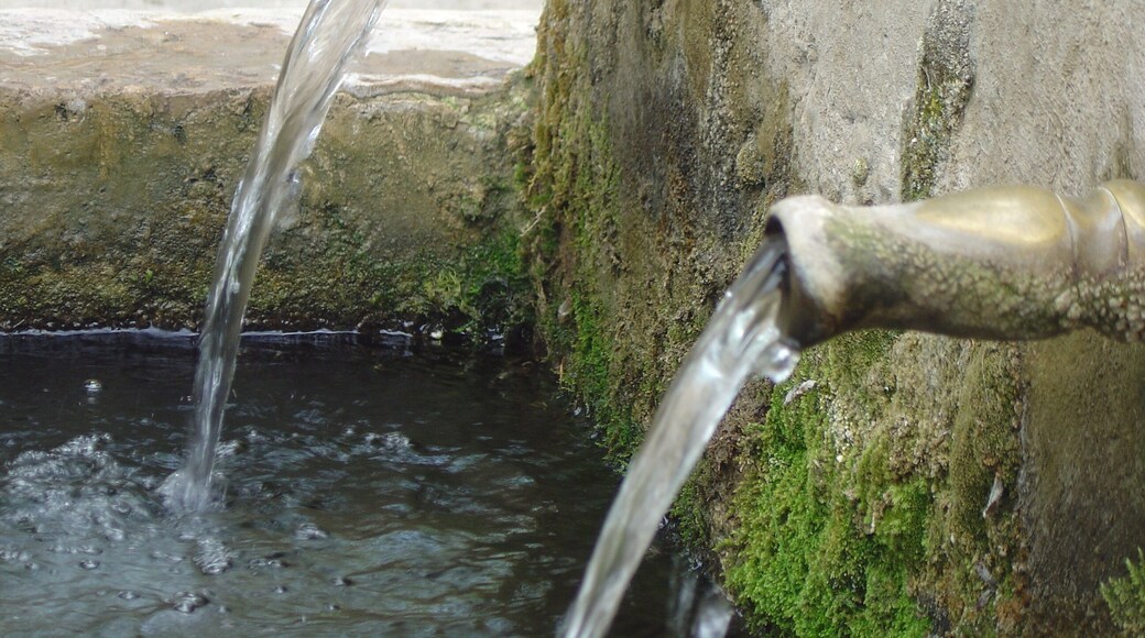 ALBALATE DE LAS NOGUERAS5