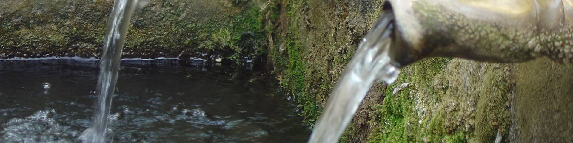 ALBALATE DE LAS NOGUERAS5