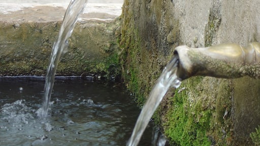 ALBALATE DE LAS NOGUERAS5