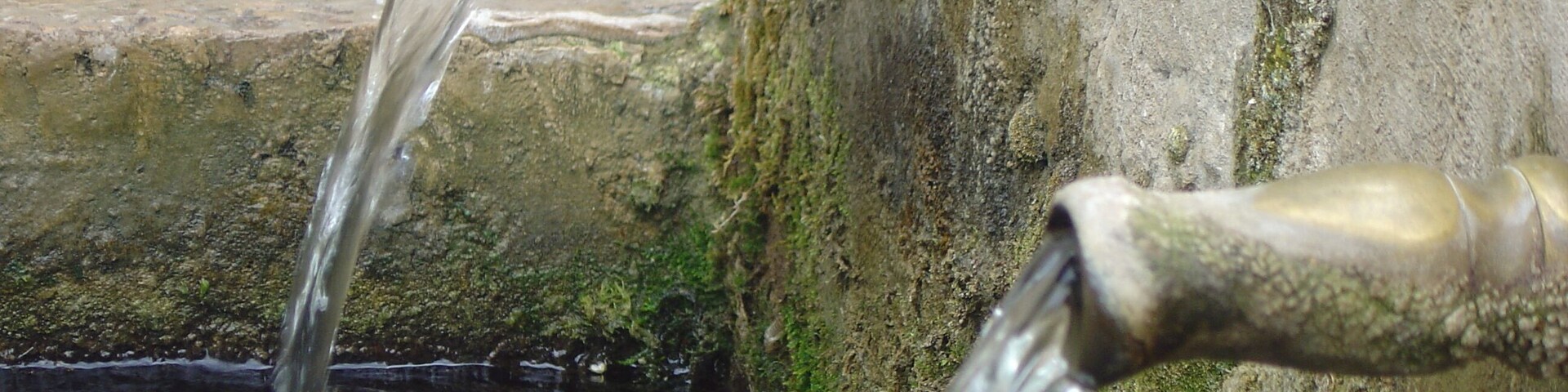 ALBALATE DE LAS NOGUERAS5