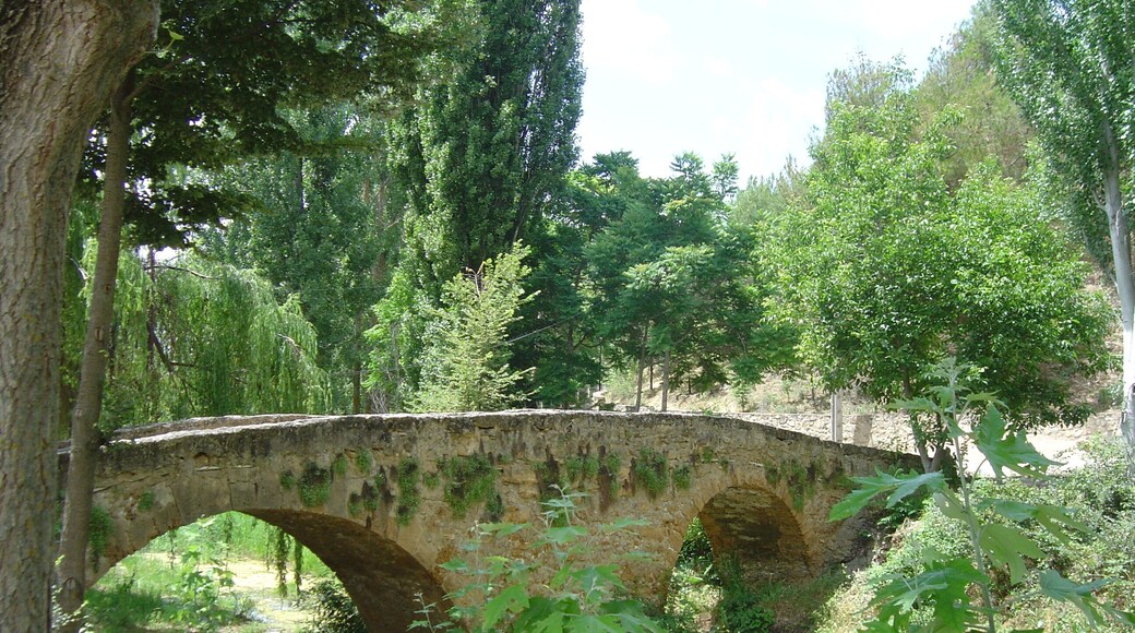 ALBALATE DE LAS NOGUERAS7