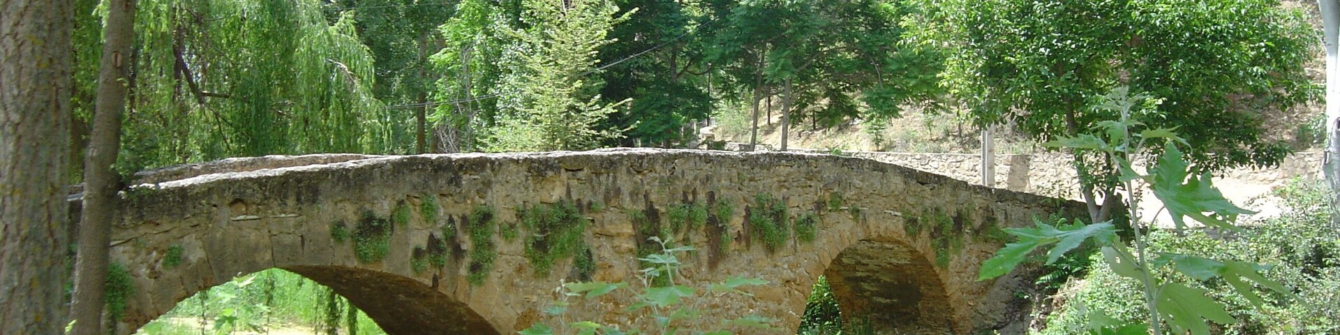 ALBALATE DE LAS NOGUERAS7