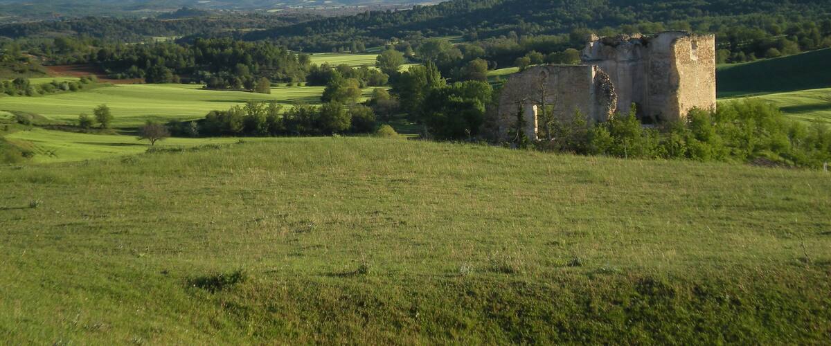 A grassy field with a ruined castle and rolling hills in the background.